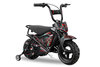 Eco Flee pocketbike