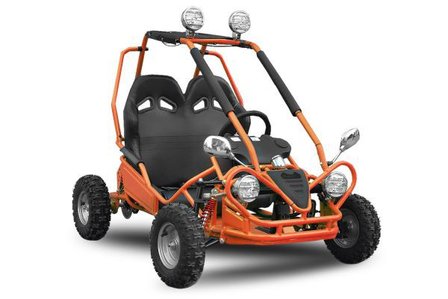 ECO buggy 450W 2-persoons