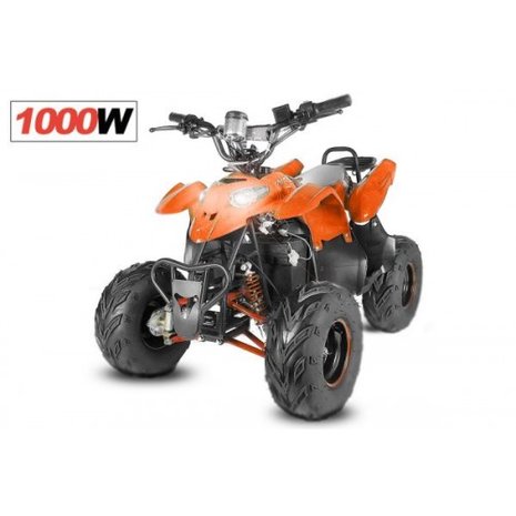 Eco RAzer 1000W 48V quad