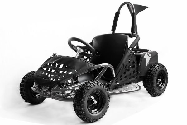 Gokid Buggy 1000w 48V