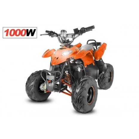 Electrische Razer quad nitro motors 8 inch 1000W