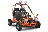 ECO buggy 450W 2-persoons